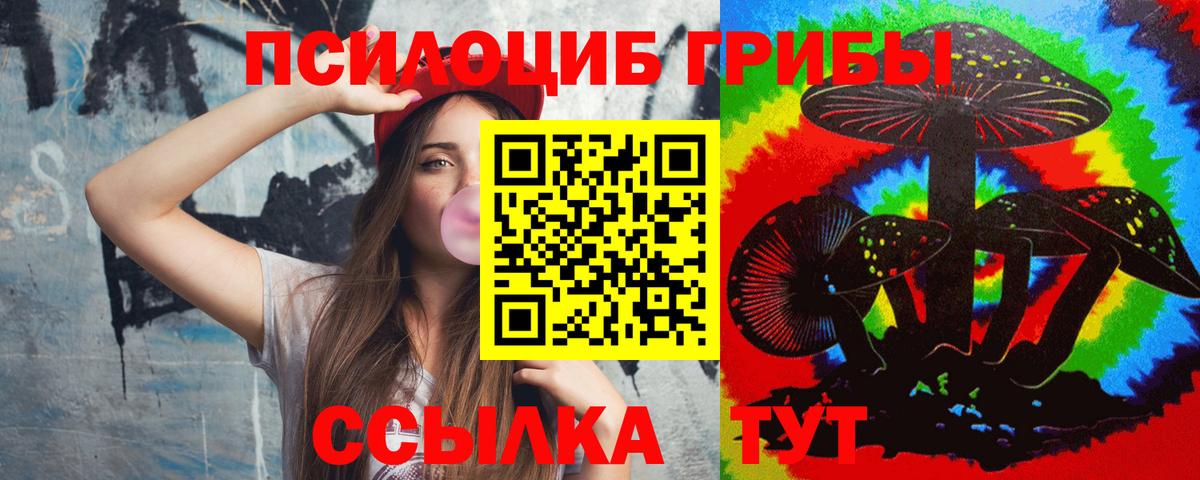 как найти наркотики  Псилоцибиновые грибы Psilocybine cubensis  Вход с VPN  Новочебоксарск 