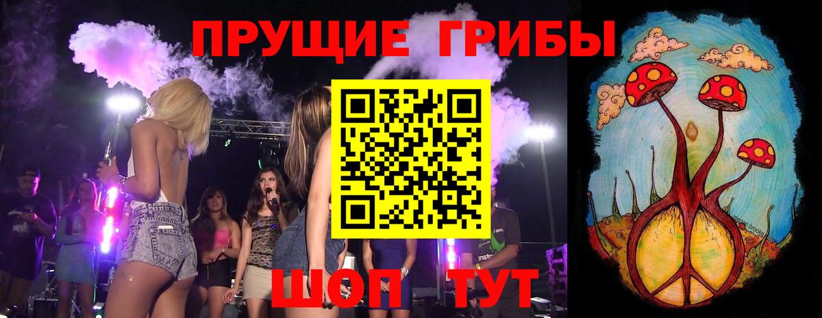 Галлюциногенные грибы Psilocybine cubensis Новочебоксарск