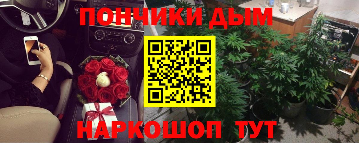 Шишки марихуана марихуана Новочебоксарск